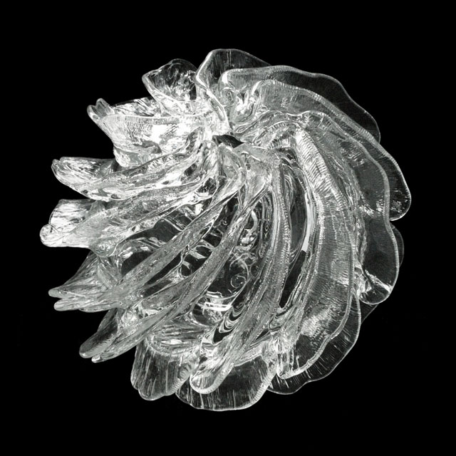 08029