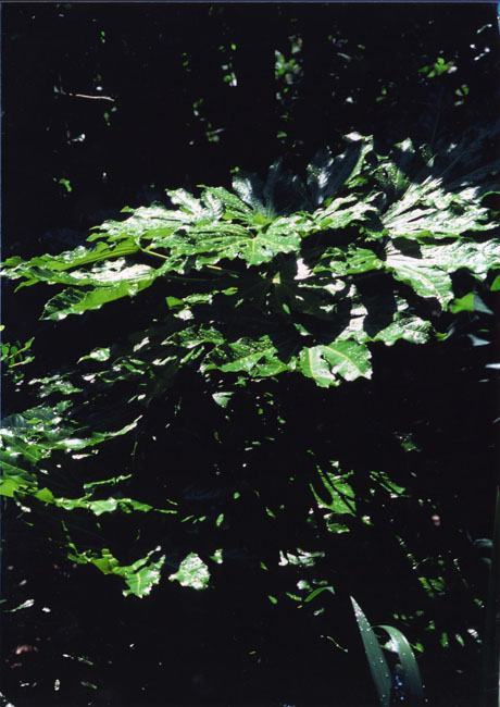 05722