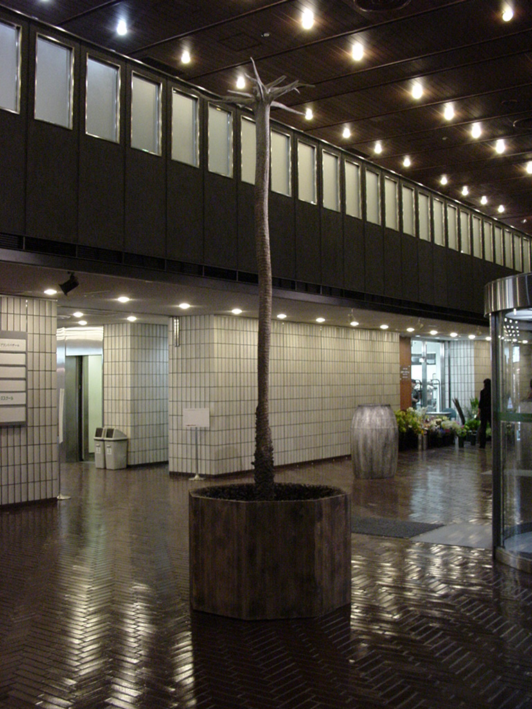 06603