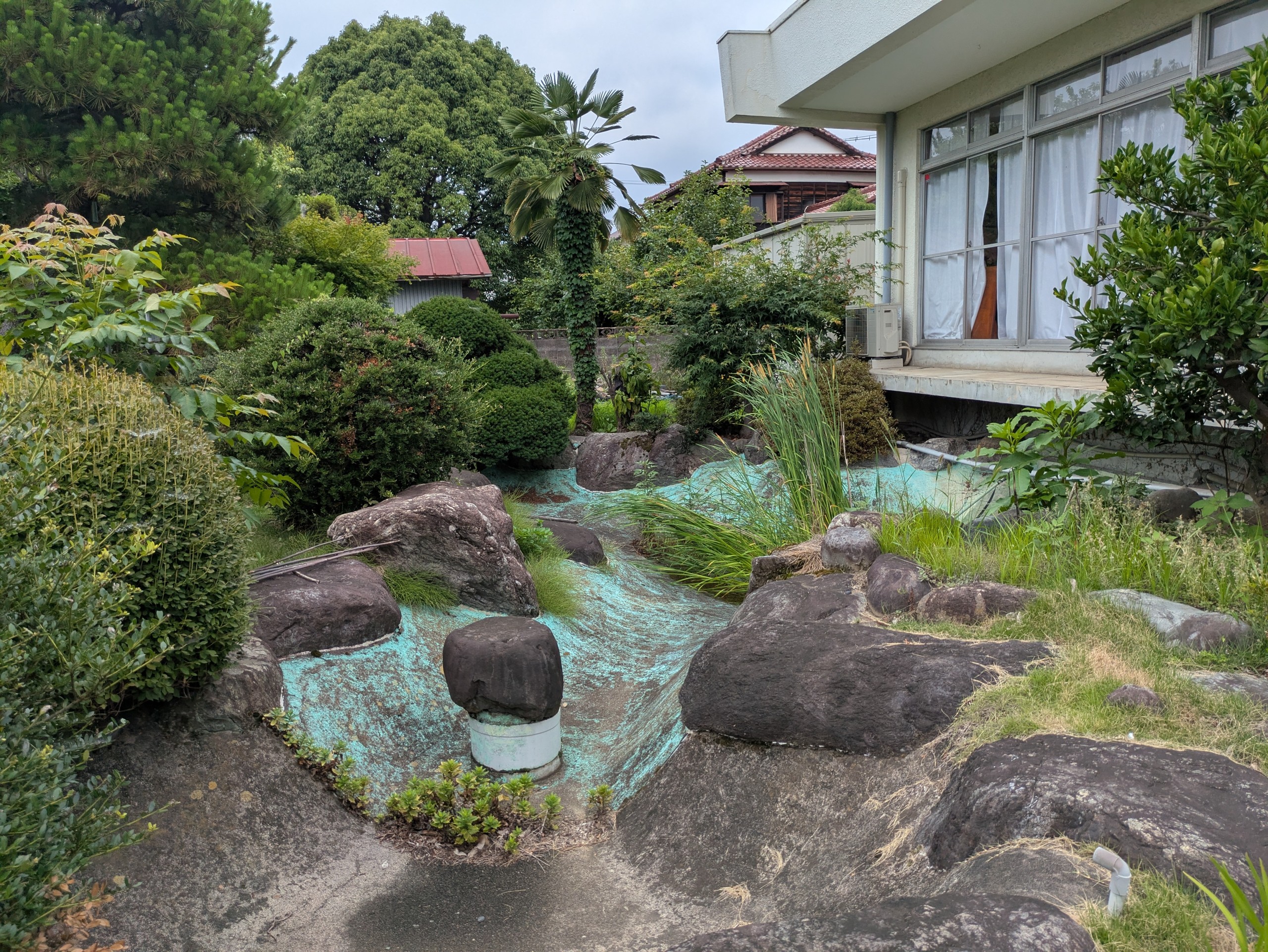 ShugoArts