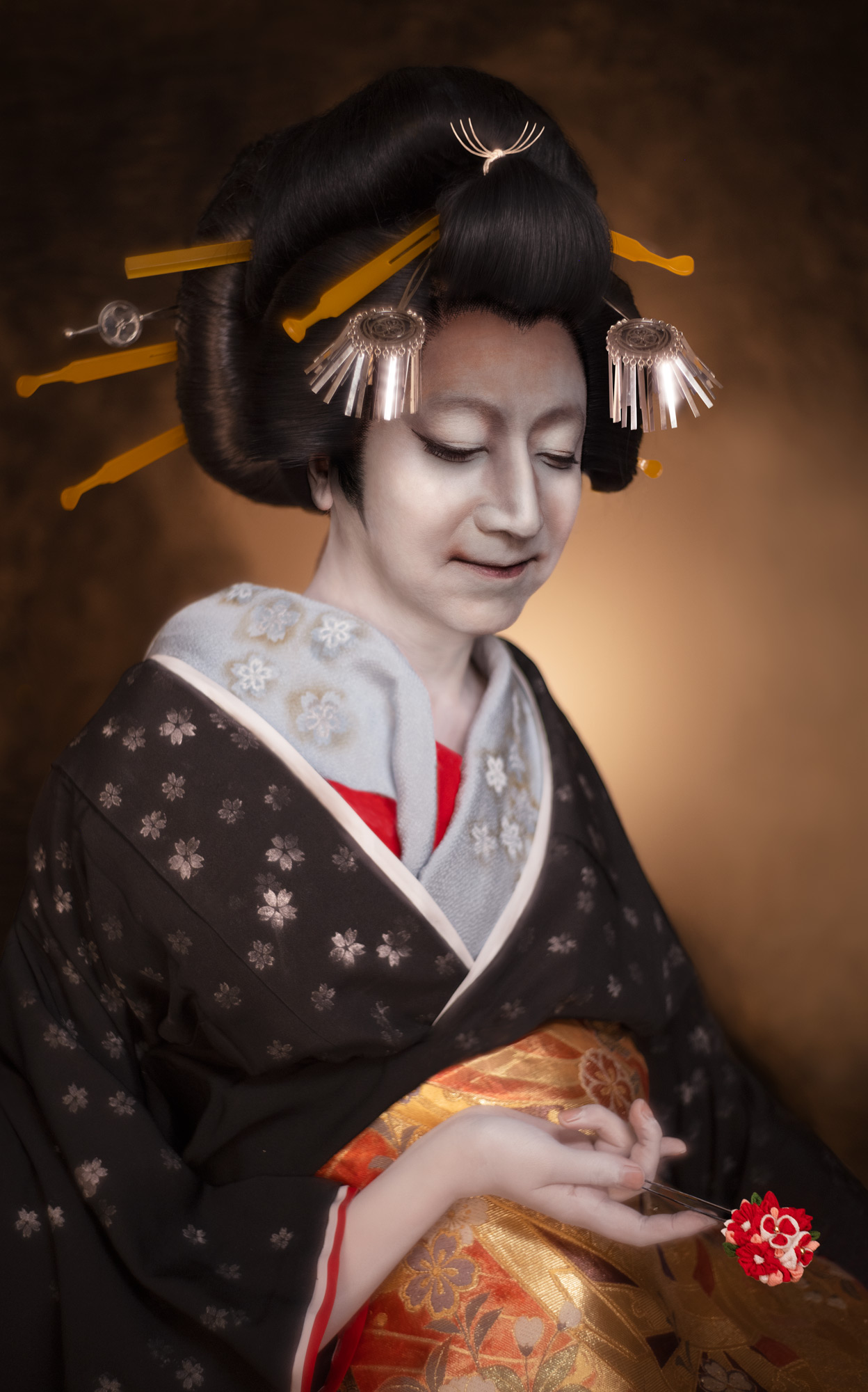 ShugoArts